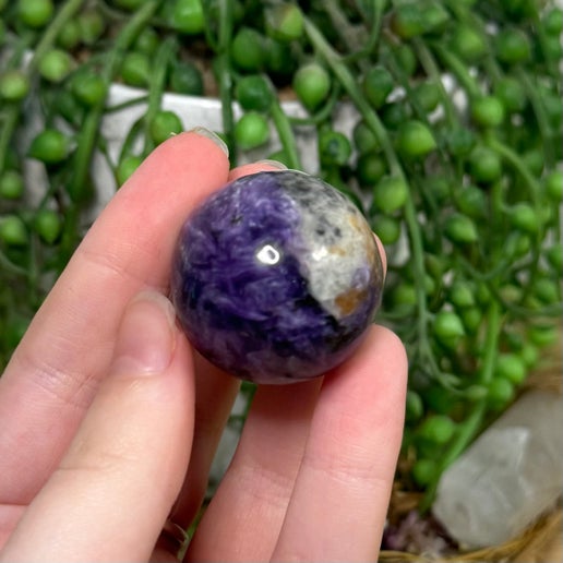 Charoite Sphere (F827)