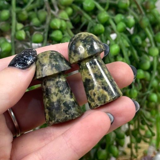 Snakeskin Serpentine Medium Mushrooms