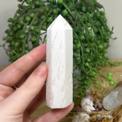 Snow Agate Point (G474)