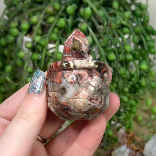 Ocean Jasper Turtle (C267)