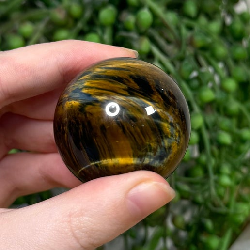 Tiger Eye Sphere (J762)