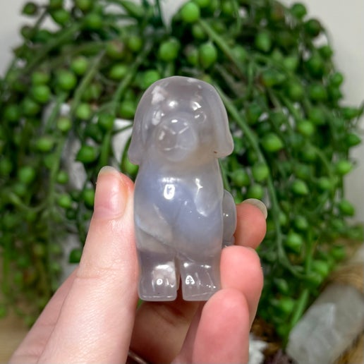 Flower Agate Dog (L417)