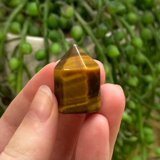 Tiger Eye Mini Chunky Point