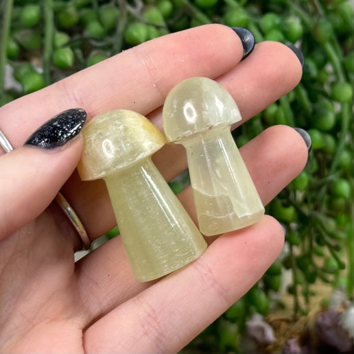 Green Banded Calcite Medium Mushrooms