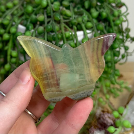 Rainbow Fluorite Butterfly (E154)