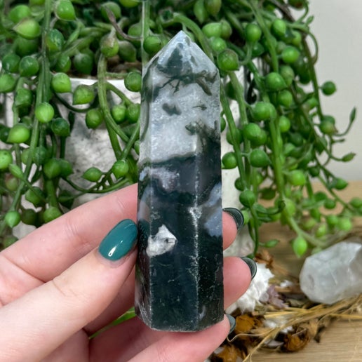 Moss Agate Point (G5)