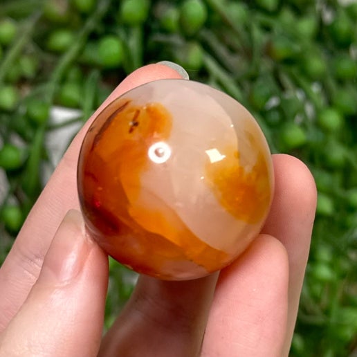 Carnelian Sphere 6