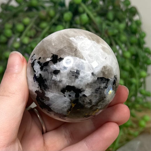Rainbow Moonstone Sphere (I962)