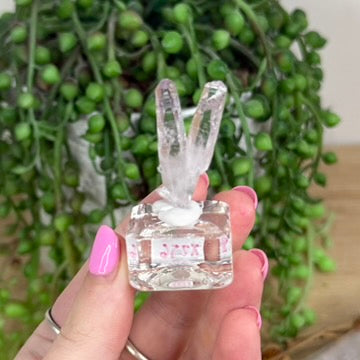 Vera Cruz Amethyst Specimen (X256)