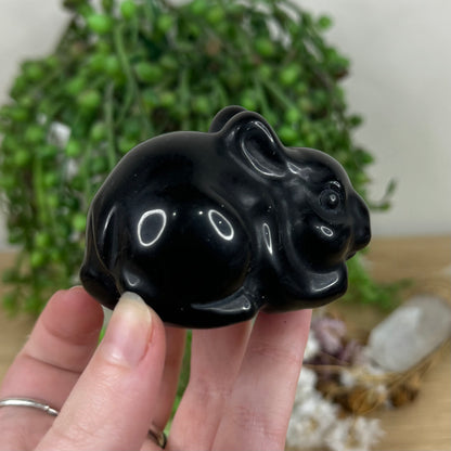 Black Obsidian Bunny (M494)