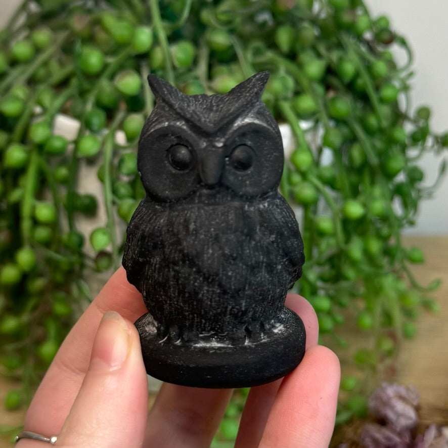 Black Obsidian Owl (G813)