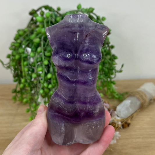 Purple Fluorite Body (M596)