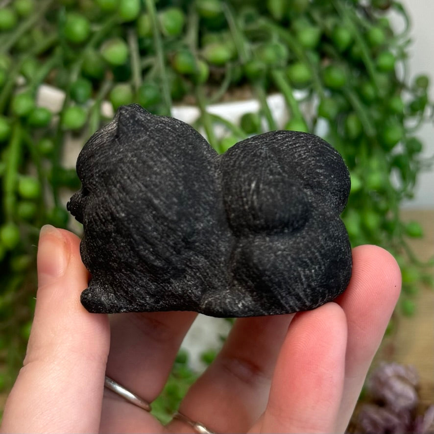 Black Obsidian Pomeranian (G823)