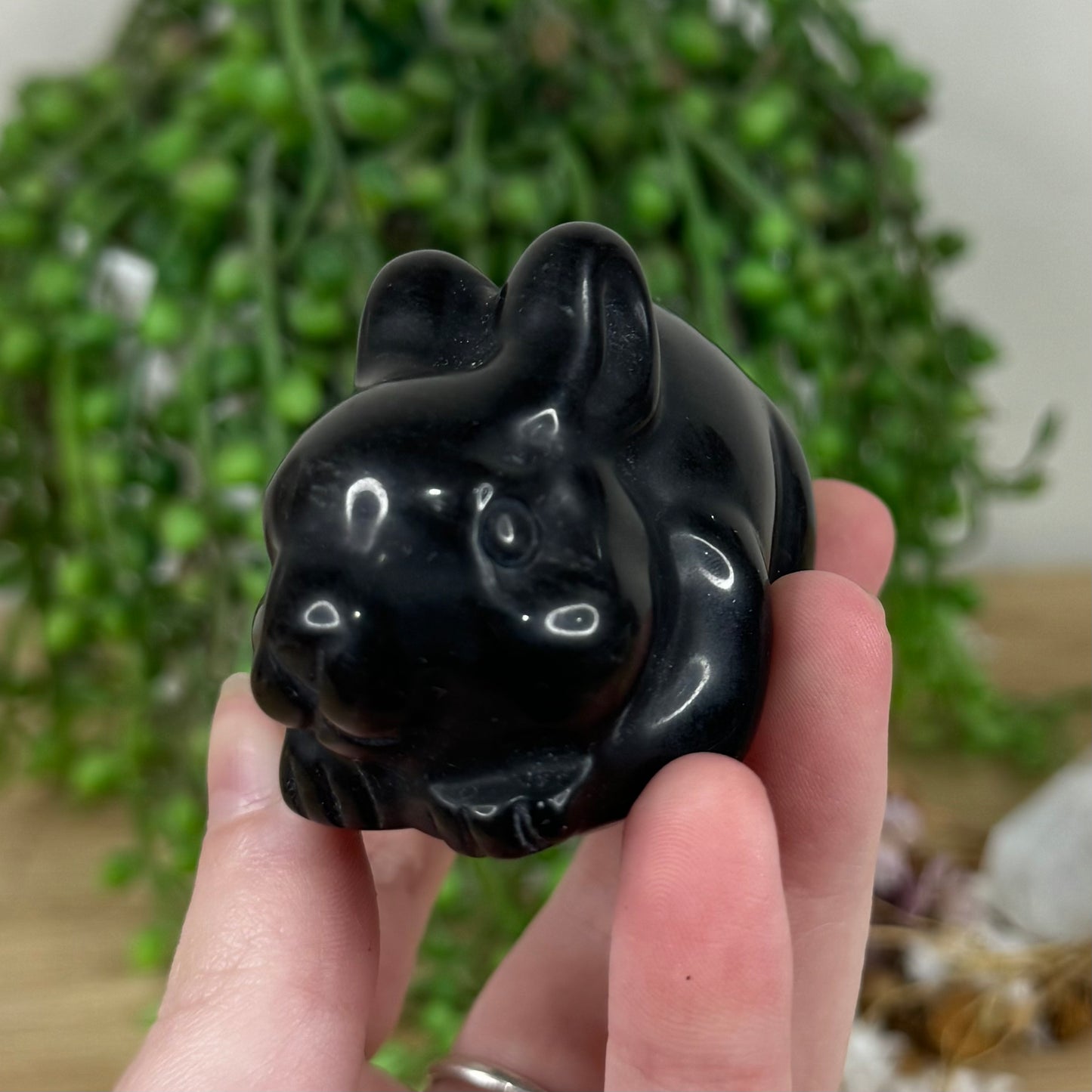 Black Obsidian Bunny (M494)