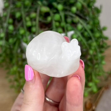 Clear Quartz Snail (X552)
