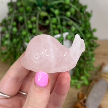 Rose Quartz Snail (X551)