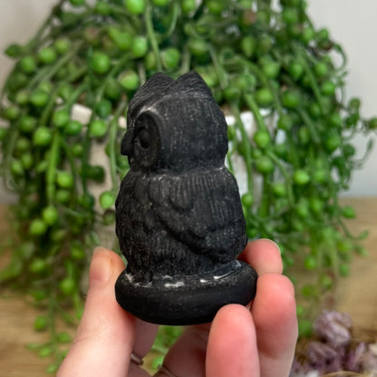 Black Obsidian Owl (G813)