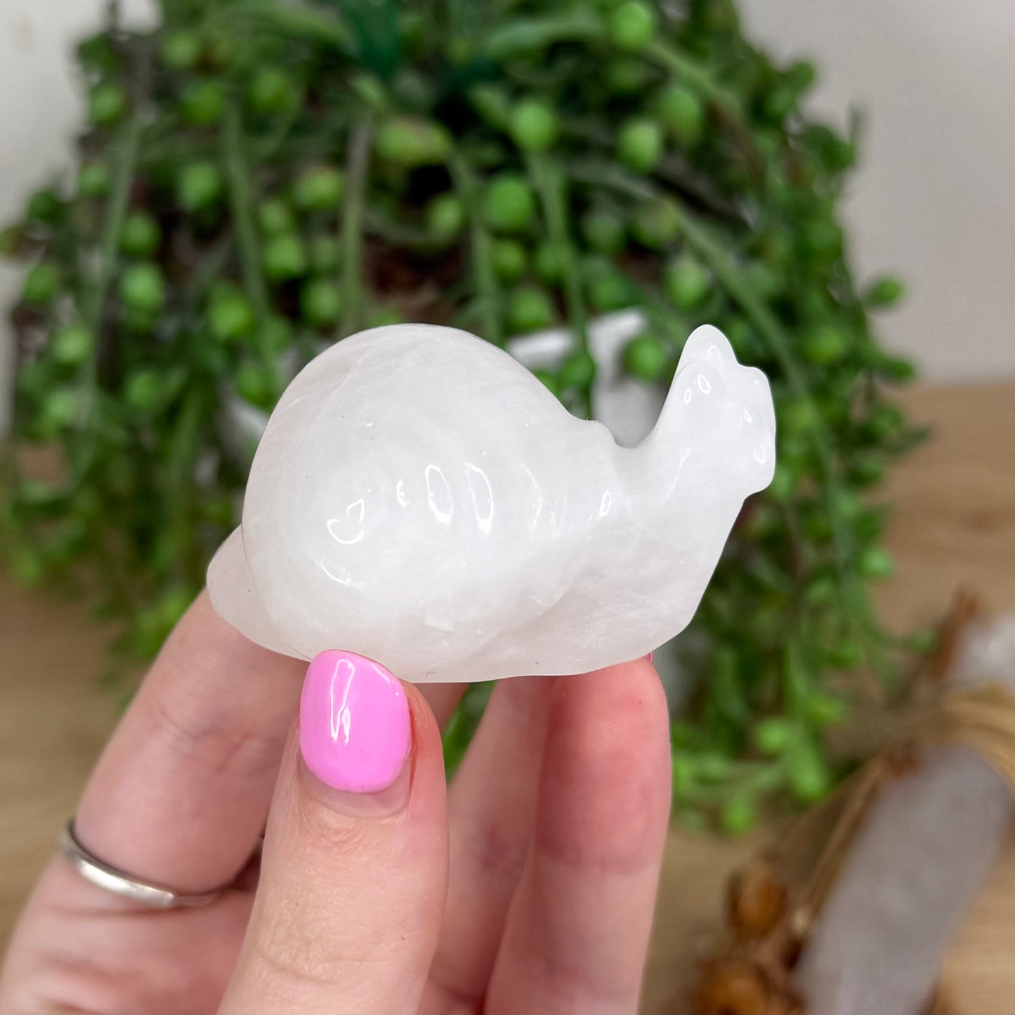 Clear Quartz Snail (X552)