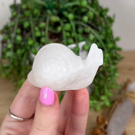 Clear Quartz Snail (X552)