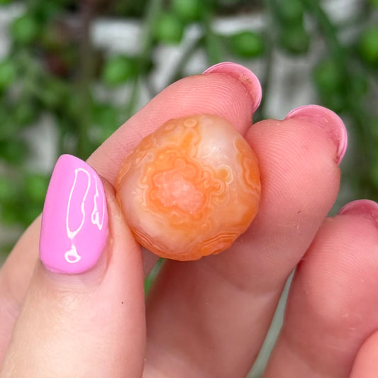 Pink Gobi Agate Tumble 5