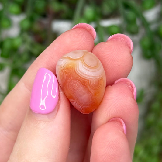 Pink Gobi Agate Tumble 6