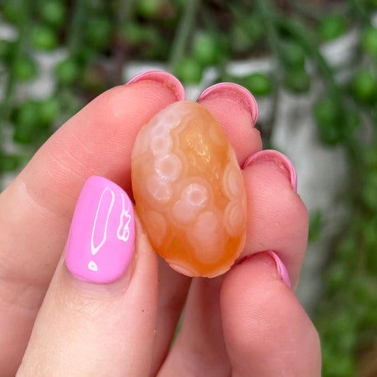 Pink Gobi Agate Tumble 9