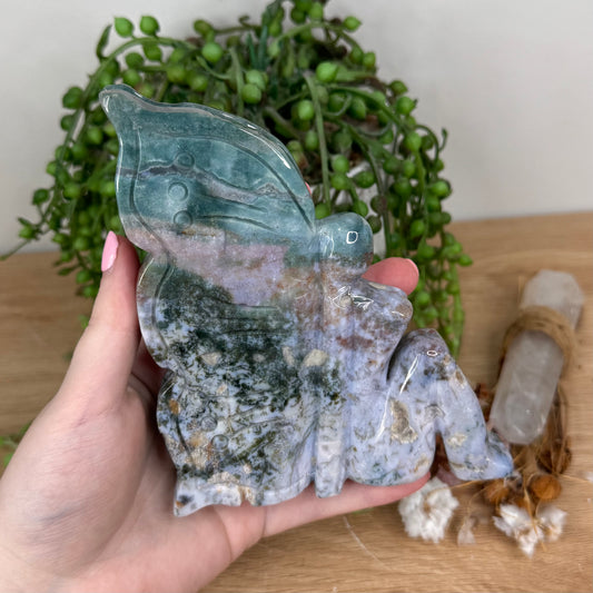 Ocean Jasper Pixie (T954)