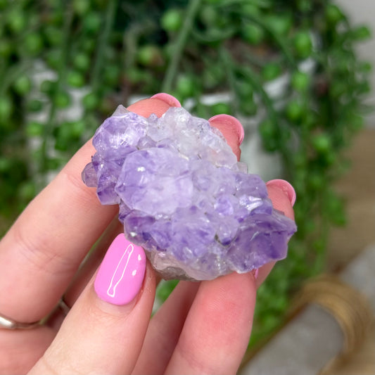Amethyst Cluster (Z558)