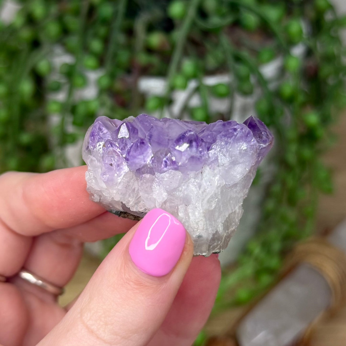Amethyst Cluster (Z558)