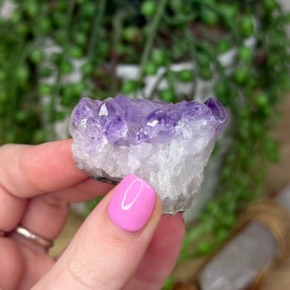 Amethyst Cluster (Z558)