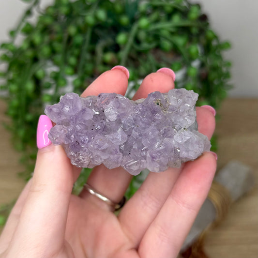 Amethyst Cluster (Z561)