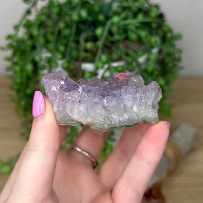 Amethyst Cluster (Z561)