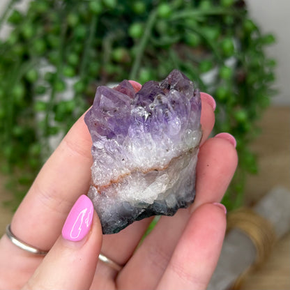 Amethyst Cluster (Z559)