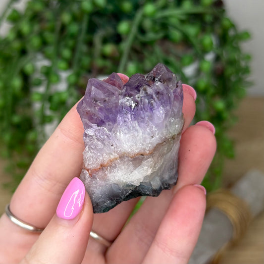 Amethyst Cluster (Z559)