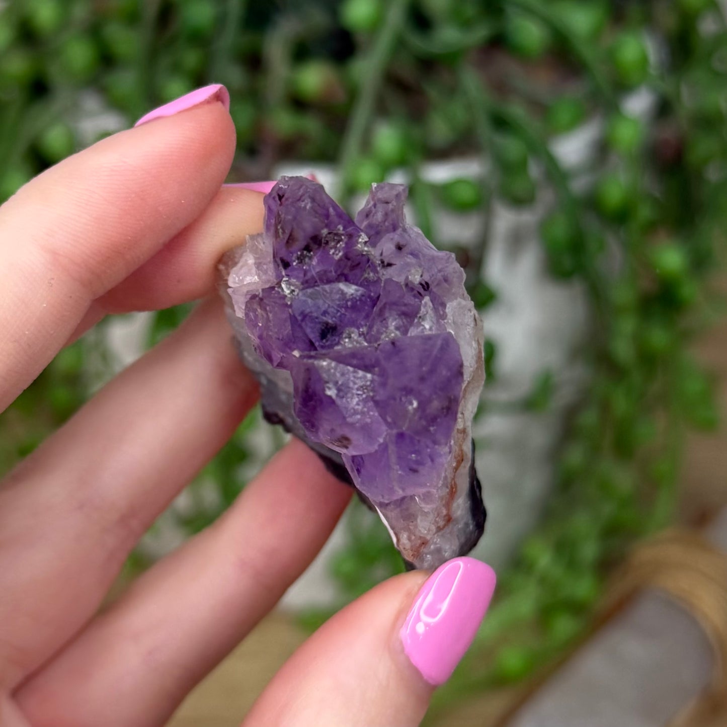 Amethyst Cluster (Z559)