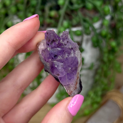 Amethyst Cluster (Z559)