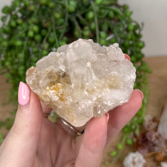 Clear Quartz Cluster (T861)