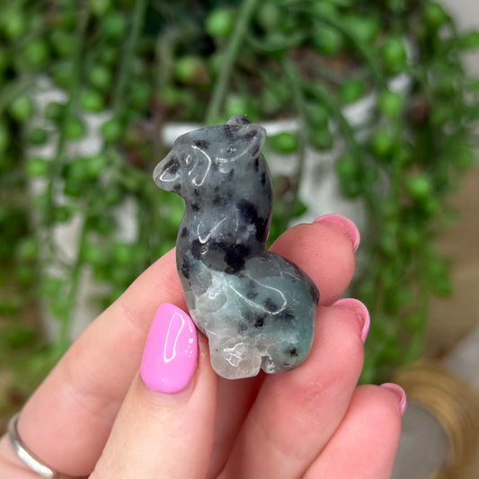 Kiwi Jasper Small Llama 1