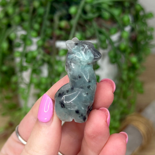 Kiwi Jasper Small Llama 2