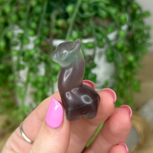 Rainbow Fluorite Small Llama 1