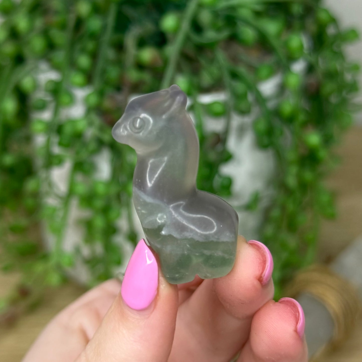 Rainbow Fluorite Small Llama 2