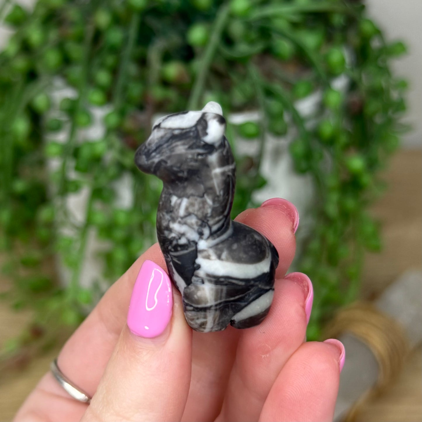 Shell Jasper Small Llama