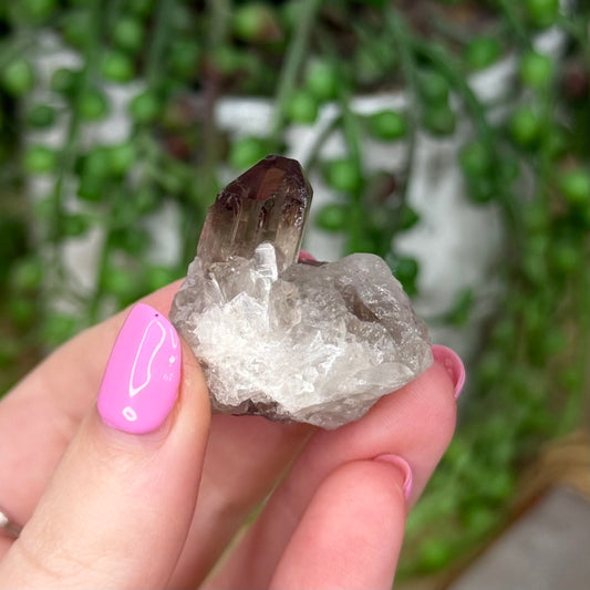 Smokey Quartz Cluster (Z382)
