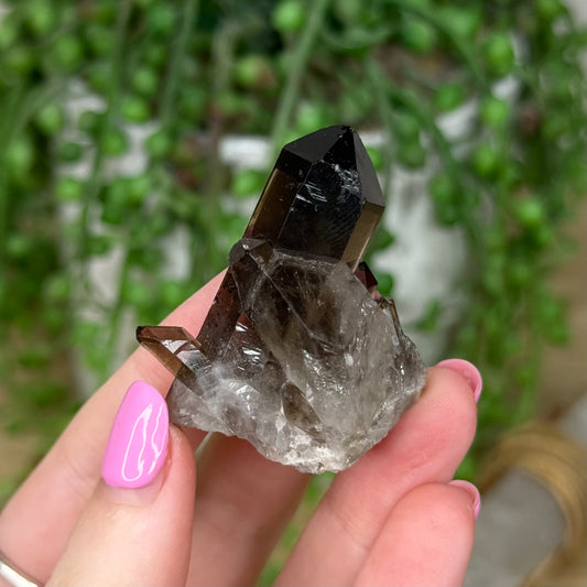Smokey Quartz Cluster (Z383)