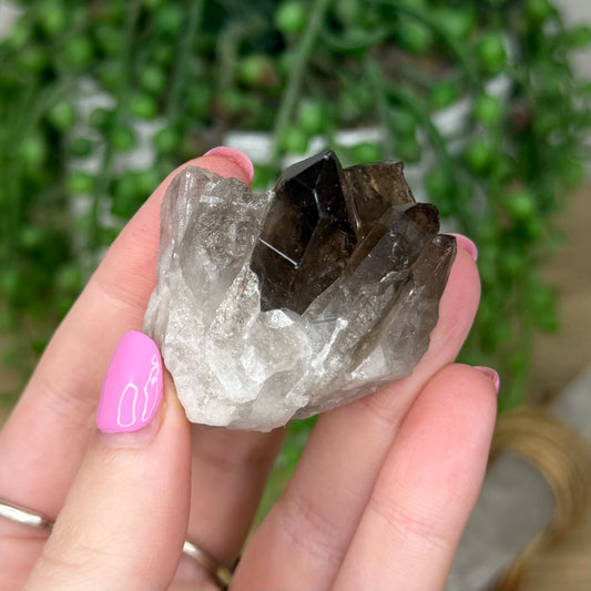 Smokey Quartz Cluster (Z384)