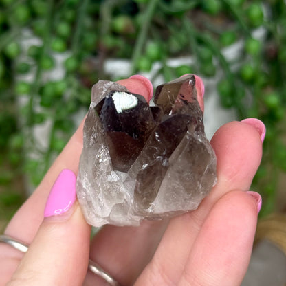 Smokey Quartz Cluster (Z384)