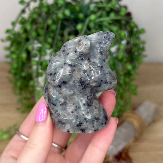 Kiwi Jasper Unicorn Head (Z597)