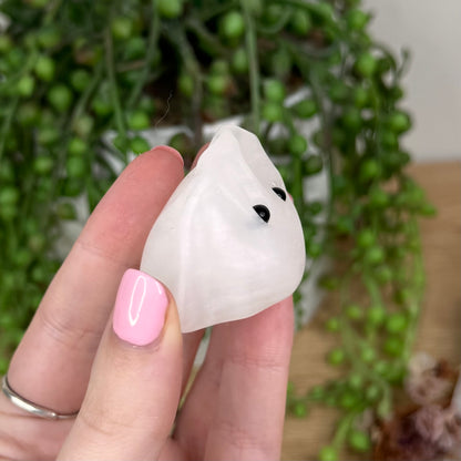 White Calcite Dumpling Pet Rock (T332) (T334)