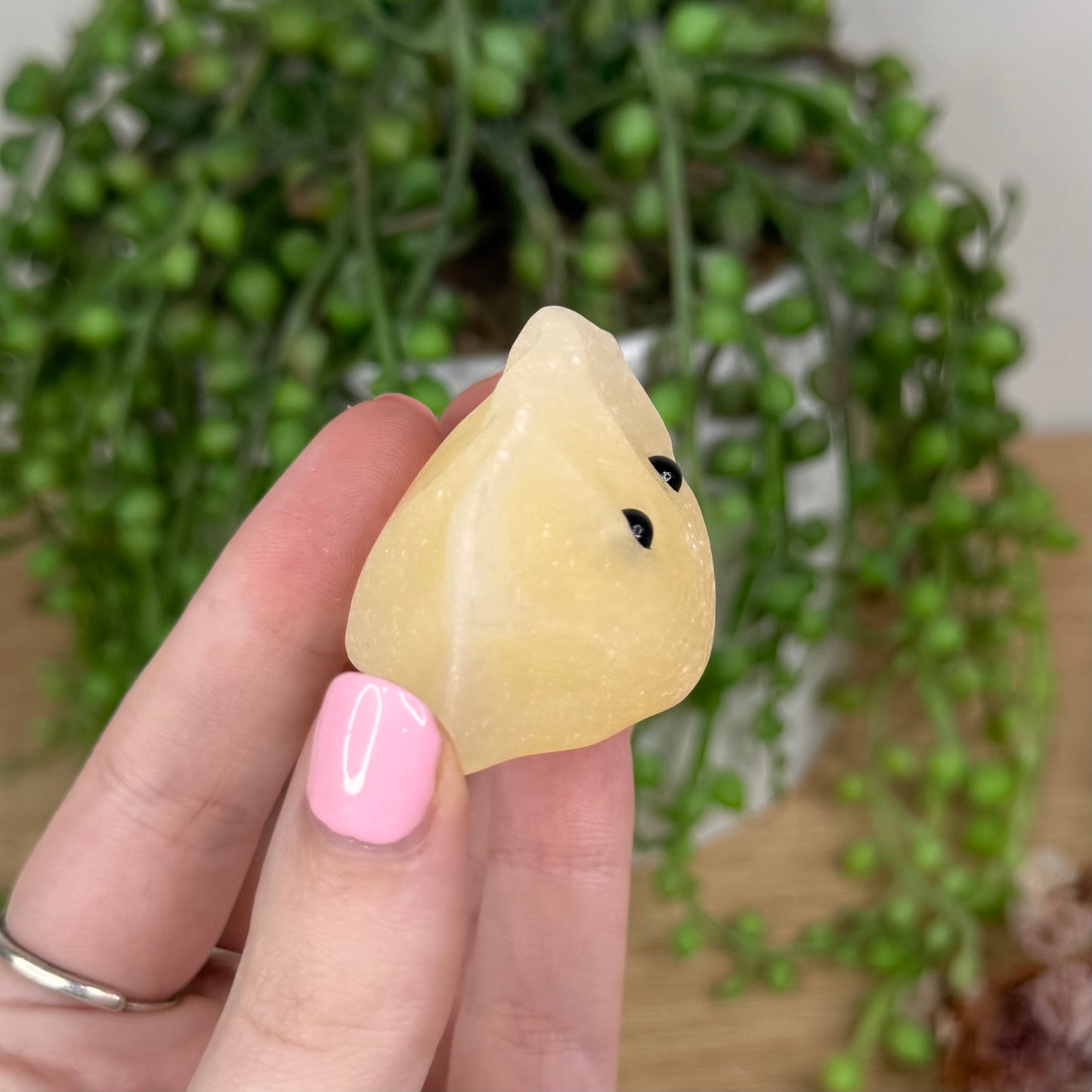 Yellow Calcite Dumpling Pet Rock (T337) (T335) (T336)