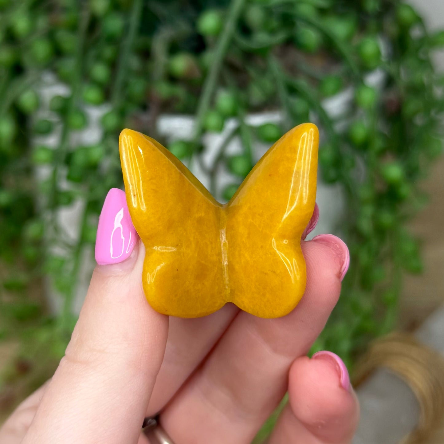 Yellow Mudstone Butterfly (Z573)